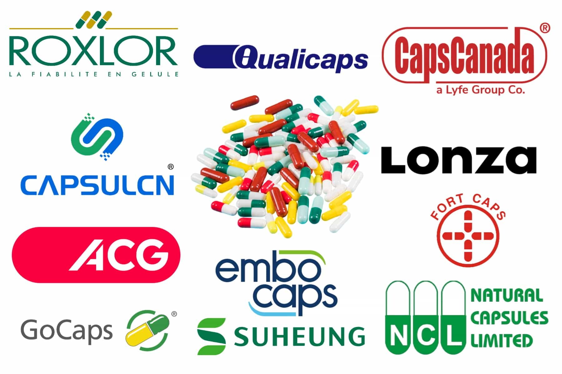 empty capsule manufacturers